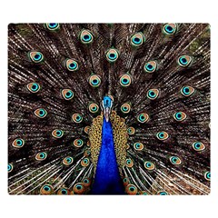 Peacock Double Sided Flano Blanket (small)  by BangZart