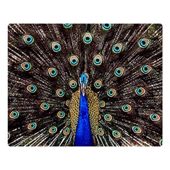 Peacock Double Sided Flano Blanket (large)  by BangZart