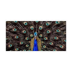 Peacock Yoga Headband by BangZart