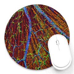 Neurobiology Round Mousepads by BangZart