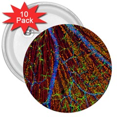 Neurobiology 3  Buttons (10 Pack)  by BangZart