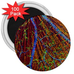 Neurobiology 3  Magnets (100 Pack) by BangZart