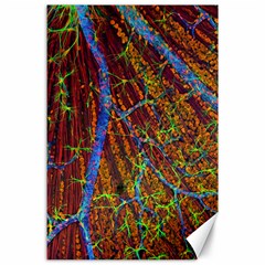 Neurobiology Canvas 24  X 36  by BangZart