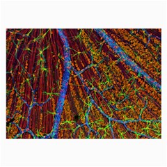 Neurobiology Large Glasses Cloth (2-side) by BangZart