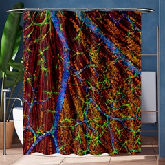 Neurobiology Shower Curtain 60  X 72  (medium)  by BangZart