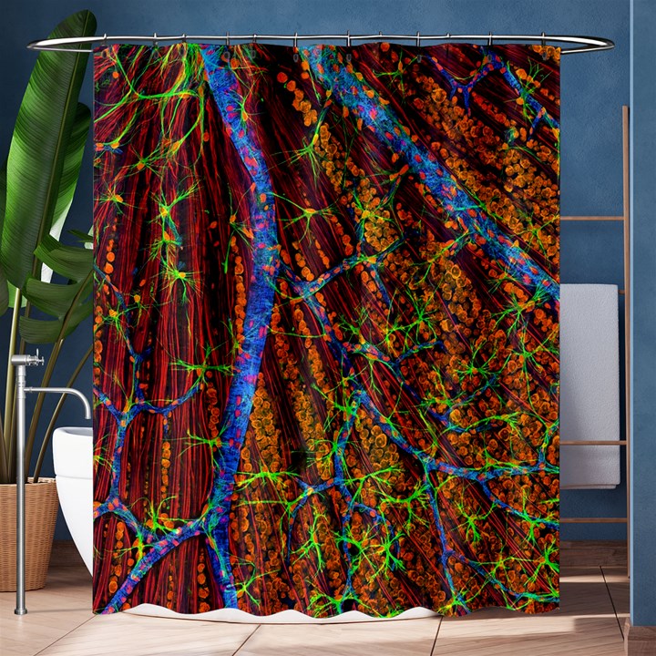 Neurobiology Shower Curtain 60  x 72  (Medium) 