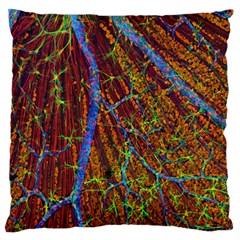 Neurobiology Standard Flano Cushion Case (two Sides) by BangZart