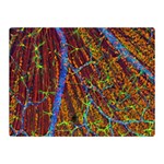 Neurobiology Double Sided Flano Blanket (Mini)  35 x27  Blanket Front