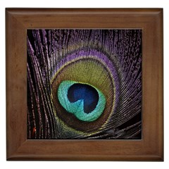 Peacock Feather Framed Tiles by BangZart