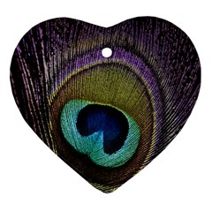 Peacock Feather Ornament (heart) by BangZart