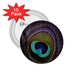 Peacock Feather 2 25  Buttons (10 Pack)  by BangZart