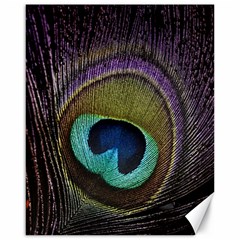 Peacock Feather Canvas 16  X 20   by BangZart