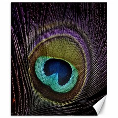 Peacock Feather Canvas 20  X 24   by BangZart