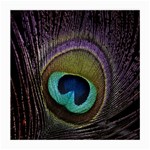 Peacock Feather Medium Glasses Cloth Front