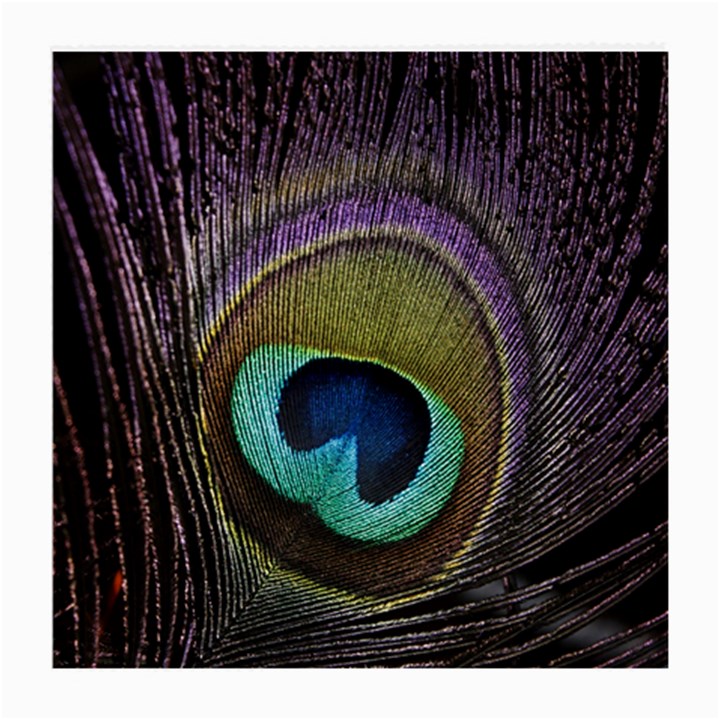 Peacock Feather Medium Glasses Cloth