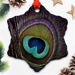 Peacock Feather Ornament (snowflake) by BangZart