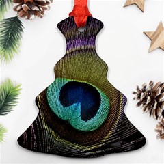 Peacock Feather Ornament (christmas Tree)  by BangZart