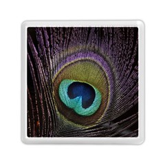 Peacock Feather Memory Card Reader (square)  by BangZart