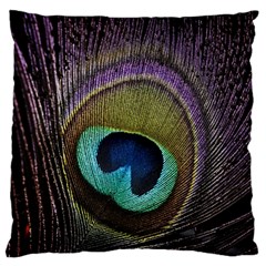 Peacock Feather Large Cushion Case (one Side) by BangZart