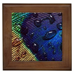 Peacock Feather Retina Mac Framed Tiles by BangZart