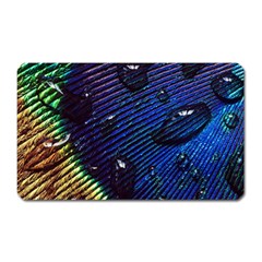 Peacock Feather Retina Mac Magnet (rectangular) by BangZart