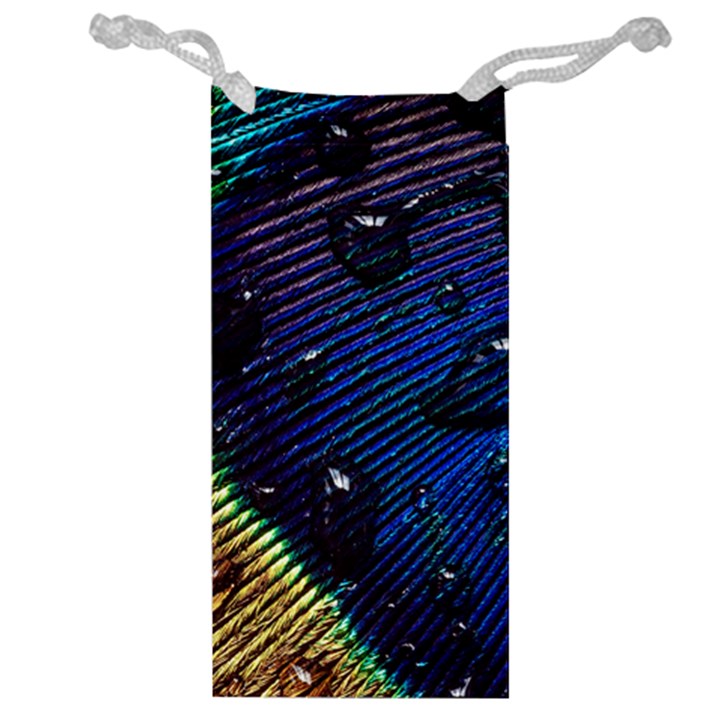 Peacock Feather Retina Mac Jewelry Bag