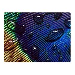 Peacock Feather Retina Mac Double Sided Flano Blanket (Mini)  35 x27  Blanket Front