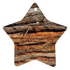 Natural Wood Texture Star Ornament (two Sides) by BangZart