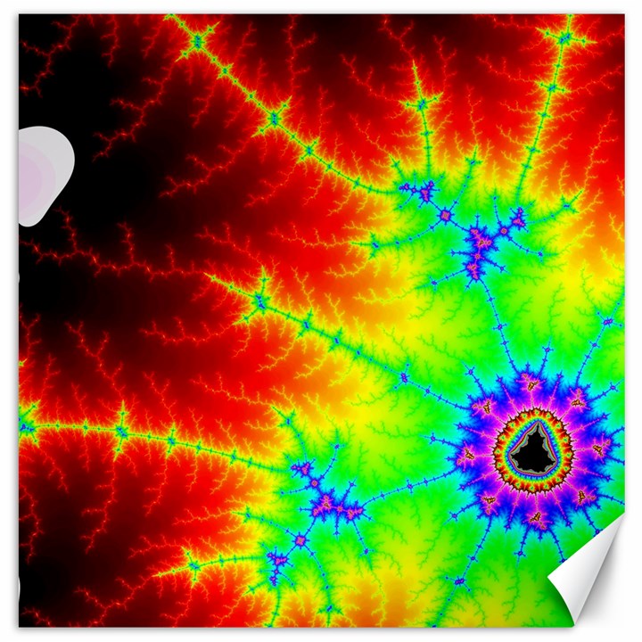 Misc Fractals Canvas 12  x 12  