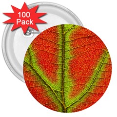 Nature Leaves 3  Buttons (100 Pack)  by BangZart