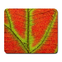 Nature Leaves Large Mousepads by BangZart