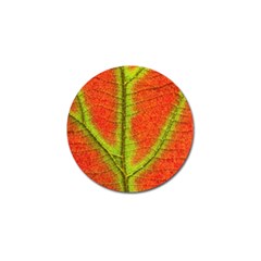 Nature Leaves Golf Ball Marker by BangZart