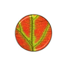 Nature Leaves Hat Clip Ball Marker by BangZart