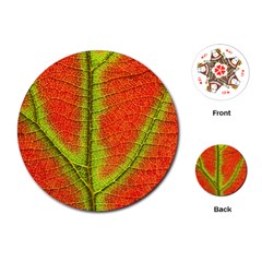 Nature Leaves Playing Cards (round)  by BangZart