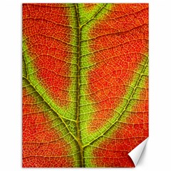 Nature Leaves Canvas 12  X 16   by BangZart