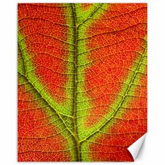 Nature Leaves Canvas 16  X 20   by BangZart