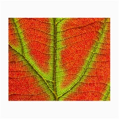 Nature Leaves Small Glasses Cloth (2-side) by BangZart