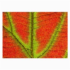 Nature Leaves Large Glasses Cloth by BangZart