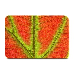 Nature Leaves Plate Mats by BangZart