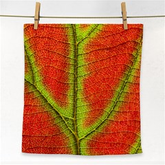 Nature Leaves Face Towel by BangZart