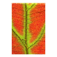 Nature Leaves Shower Curtain 48  X 72  (small)  by BangZart