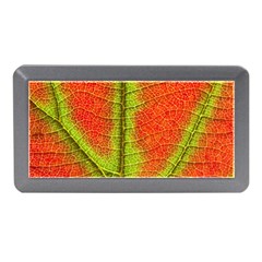 Nature Leaves Memory Card Reader (mini) by BangZart