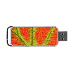 Nature Leaves Portable Usb Flash (two Sides) by BangZart