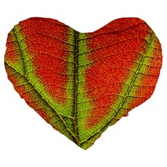 Nature Leaves Large 19  Premium Heart Shape Cushions by BangZart