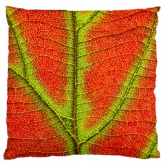 Nature Leaves Large Flano Cushion Case (one Side) by BangZart