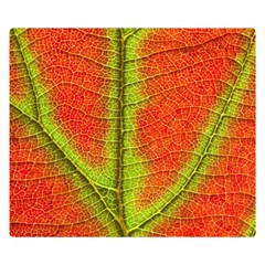 Nature Leaves Double Sided Flano Blanket (small)  by BangZart