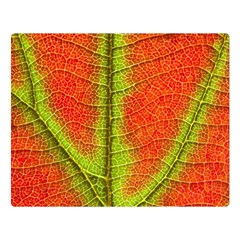 Nature Leaves Double Sided Flano Blanket (large)  by BangZart