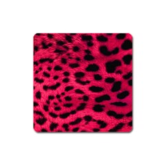 Leopard Skin Square Magnet by BangZart