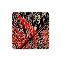 Leaf Pattern Square Magnet by BangZart