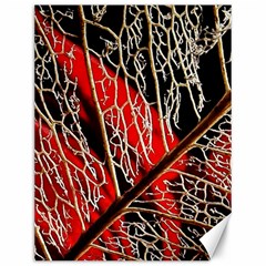 Leaf Pattern Canvas 12  X 16   by BangZart